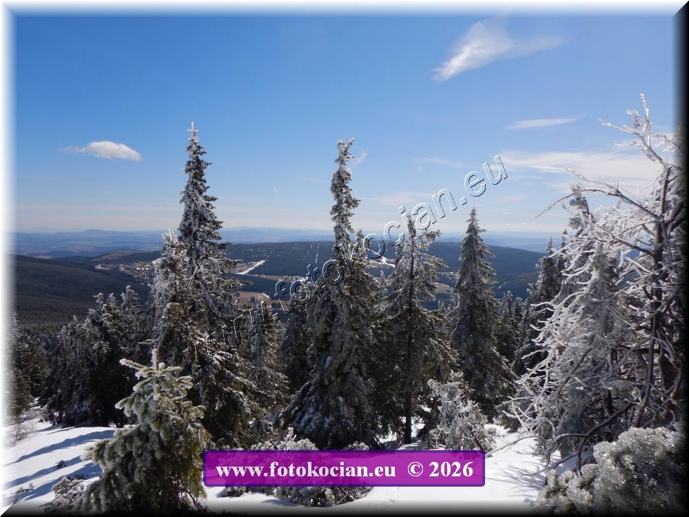 Náhled obrázku: DSCN2141.JPG