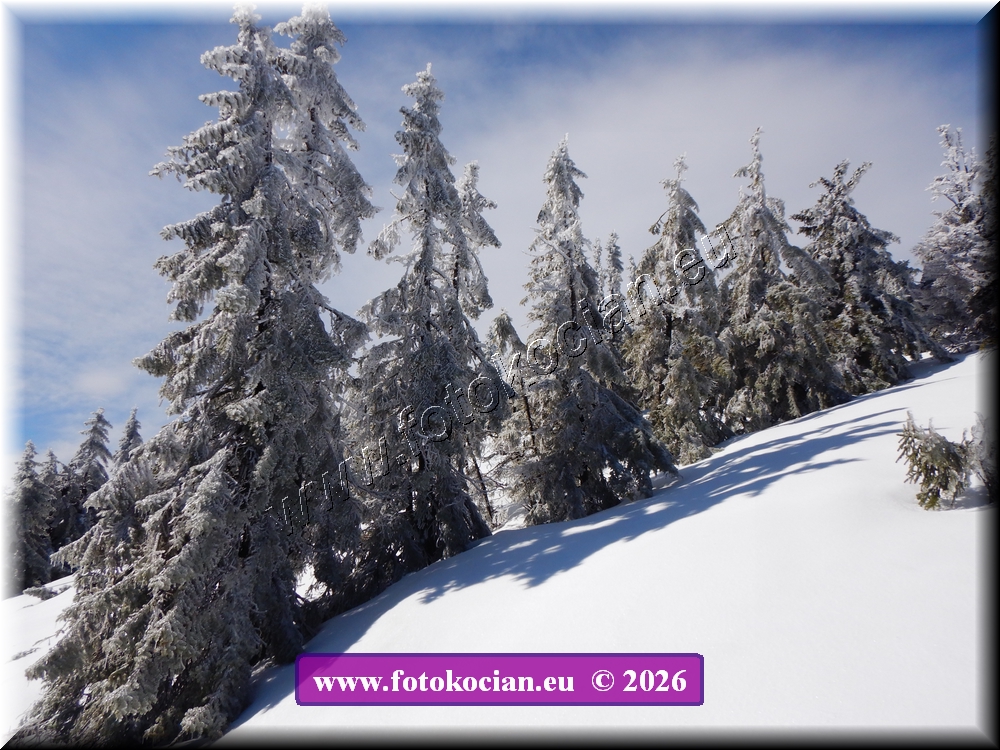 Náhled obrázku: DSCN2143.JPG