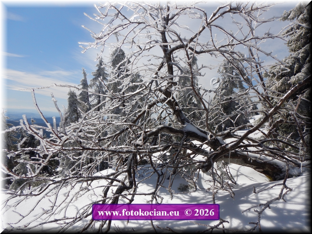 Náhled obrázku: DSCN2144.JPG