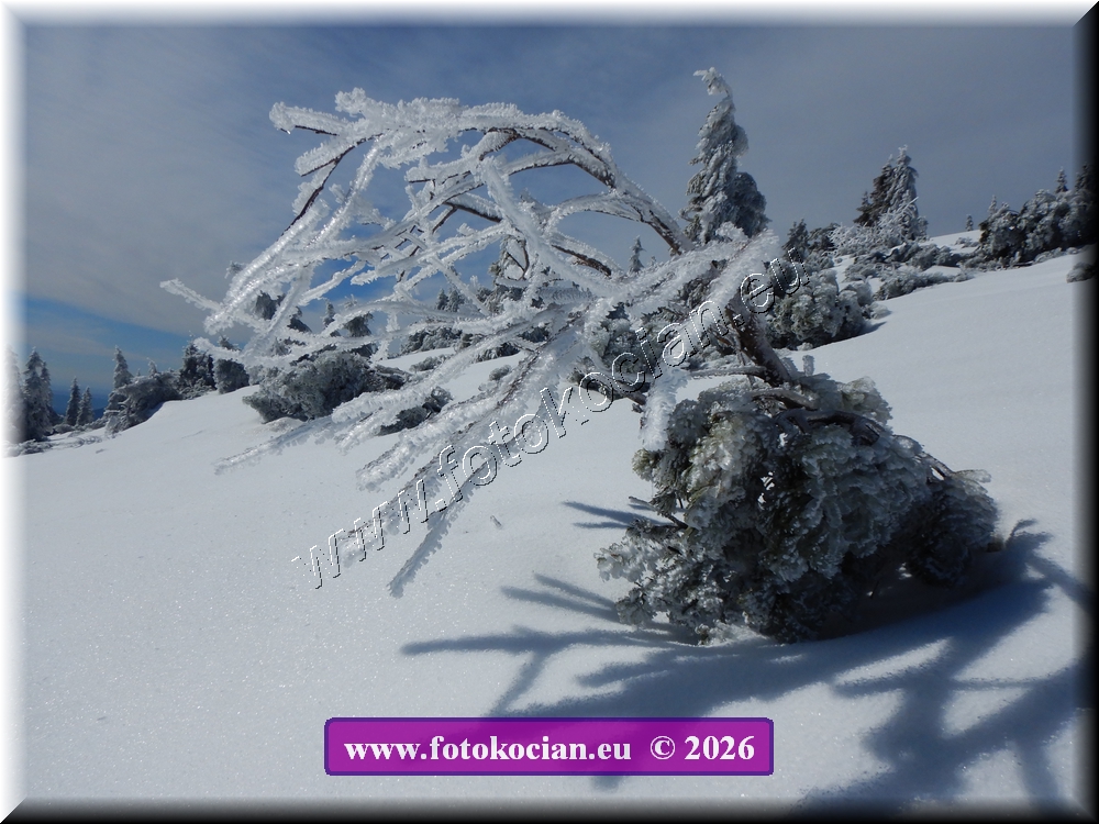 Náhled obrázku: DSCN2145.JPG