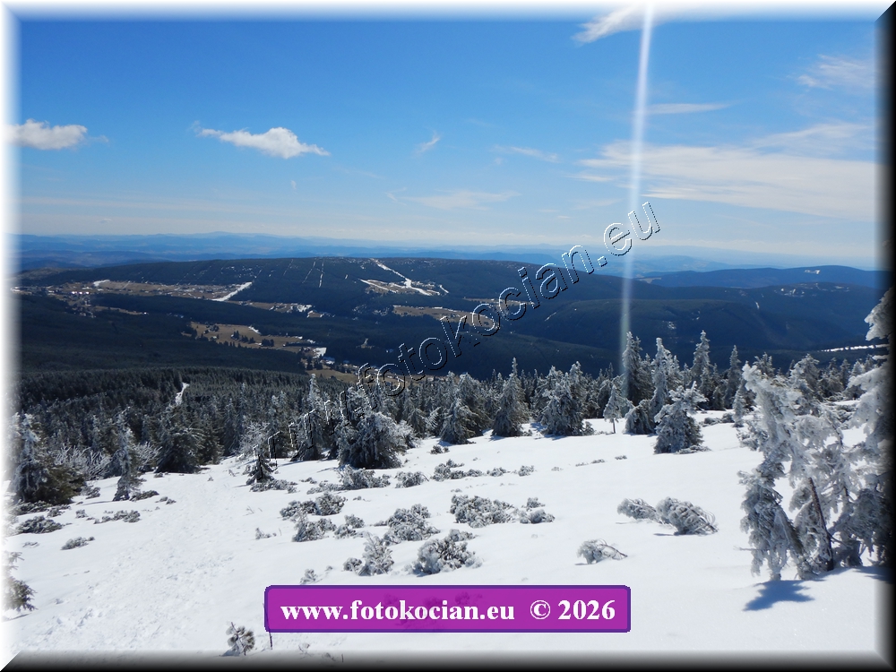 Náhled obrázku: DSCN2147.JPG