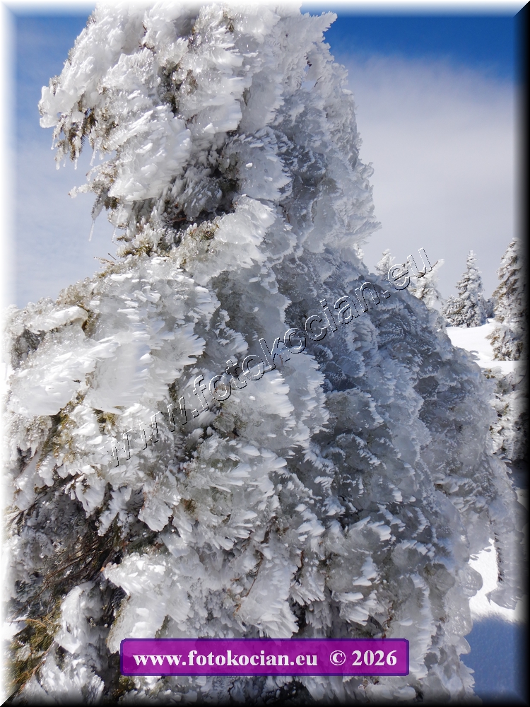 Náhled obrázku: DSCN2148.JPG