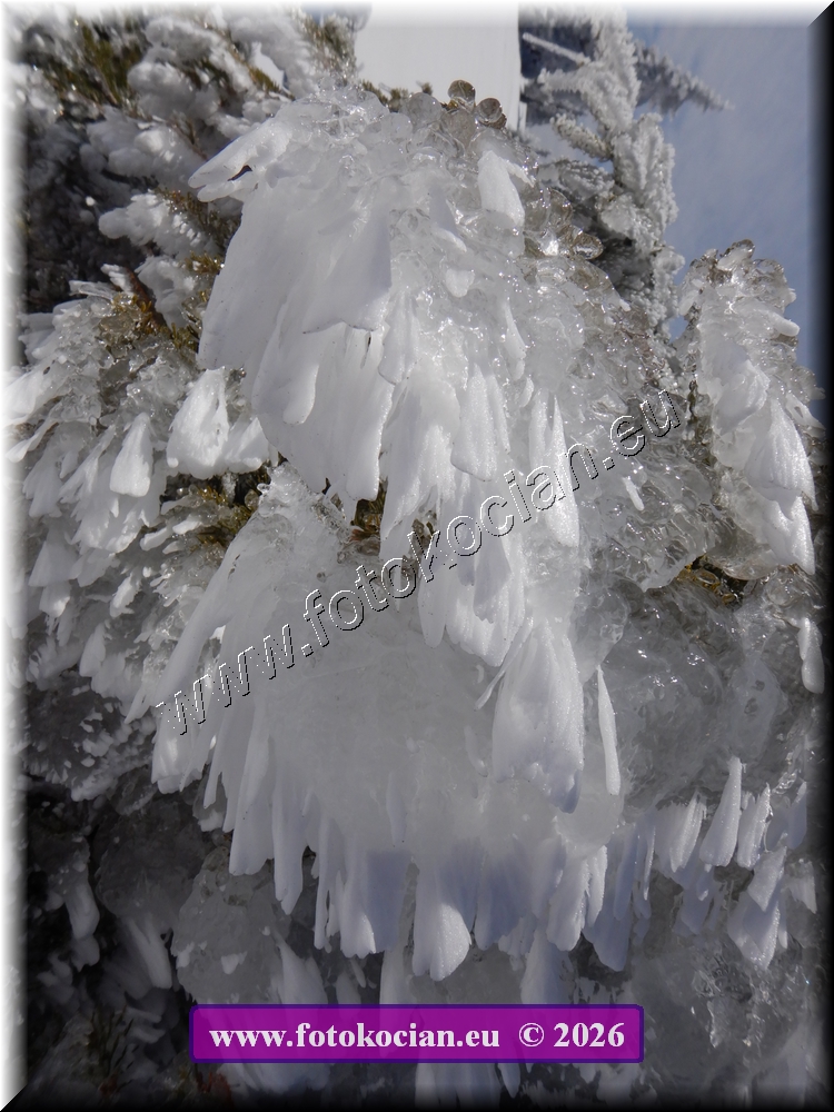 Náhled obrázku: DSCN2149.JPG