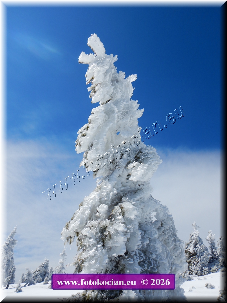 Náhled obrázku: DSCN2150.JPG