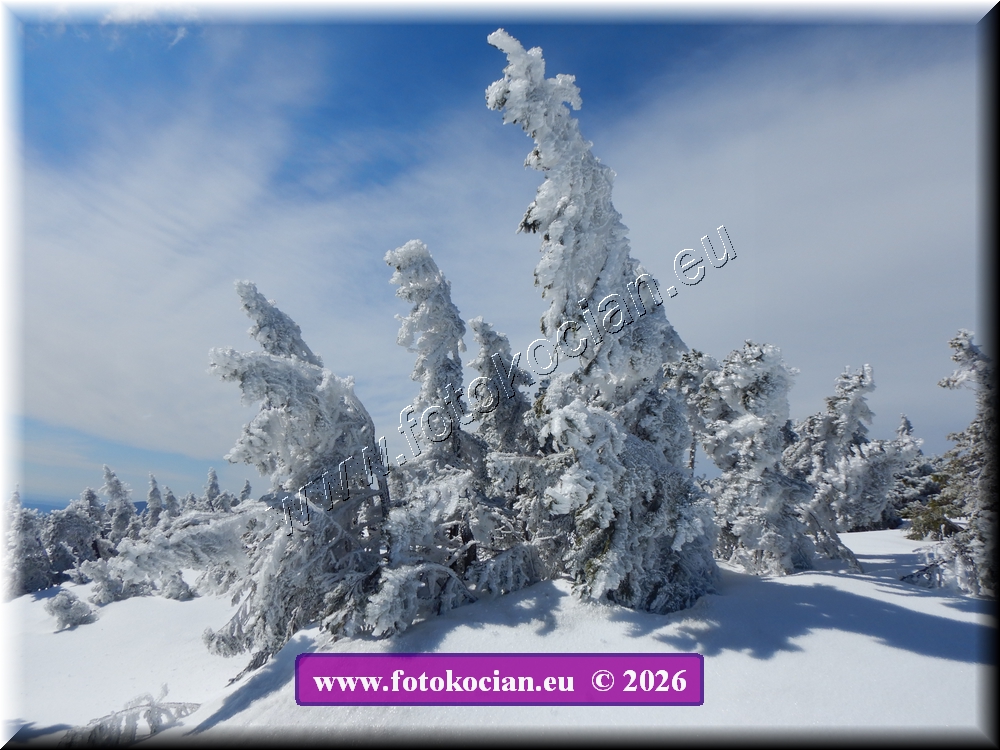 Náhled obrázku: DSCN2156.JPG