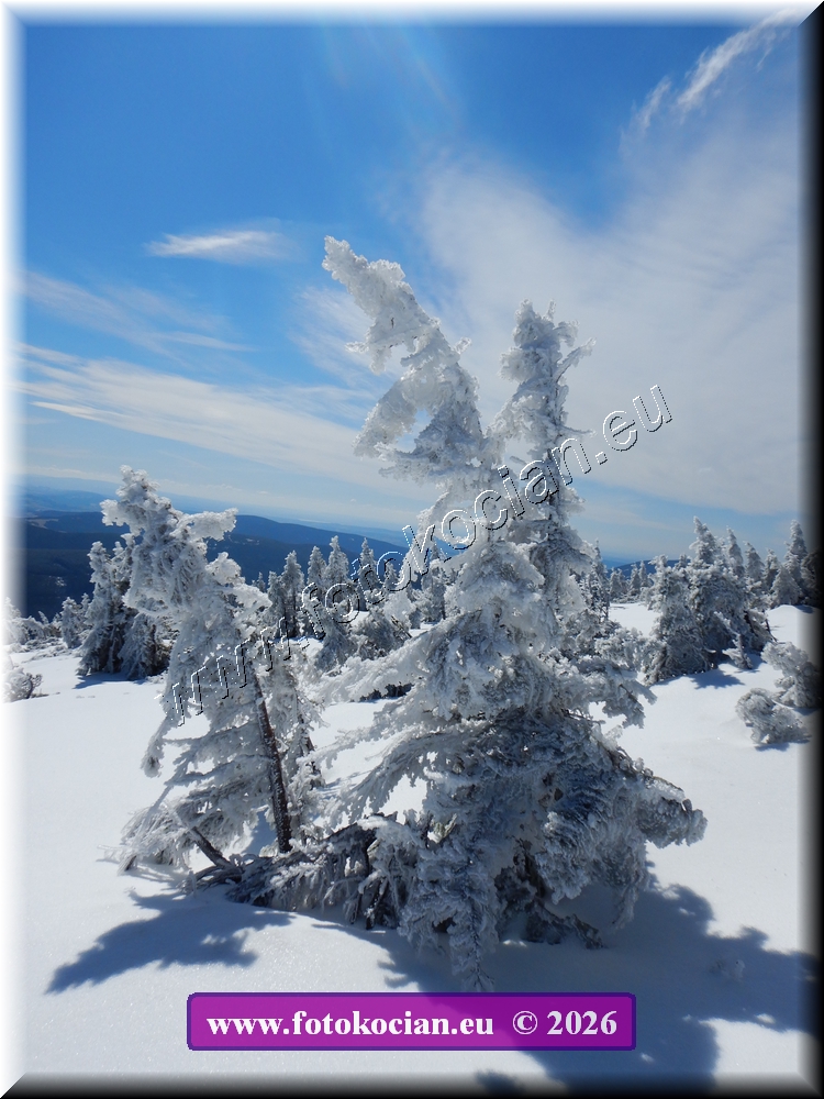 Náhled obrázku: DSCN2157.JPG