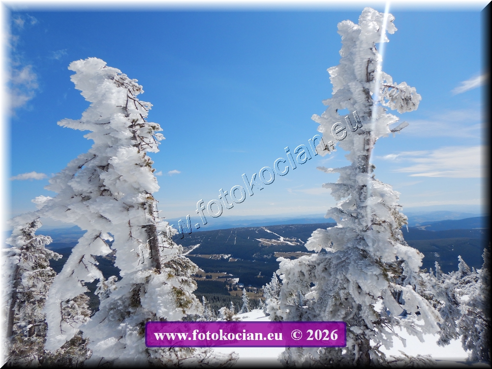 Náhled obrázku: DSCN2158.JPG