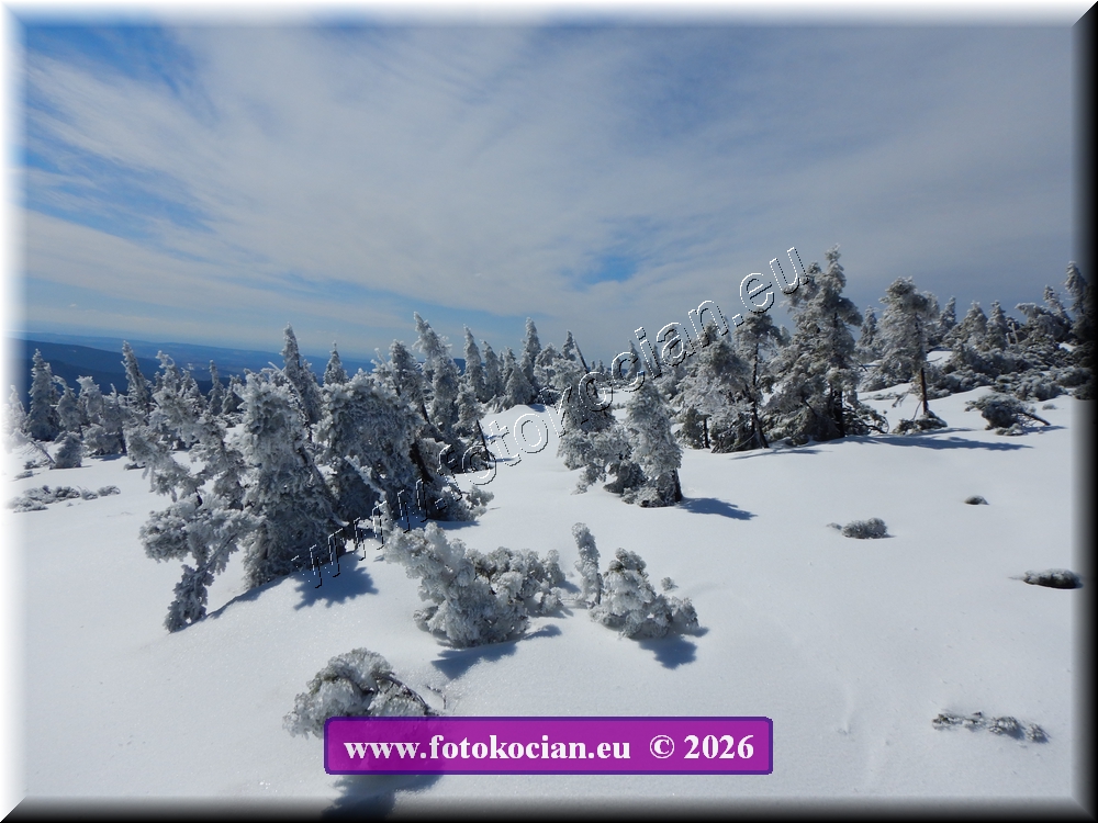 Náhled obrázku: DSCN2159.JPG