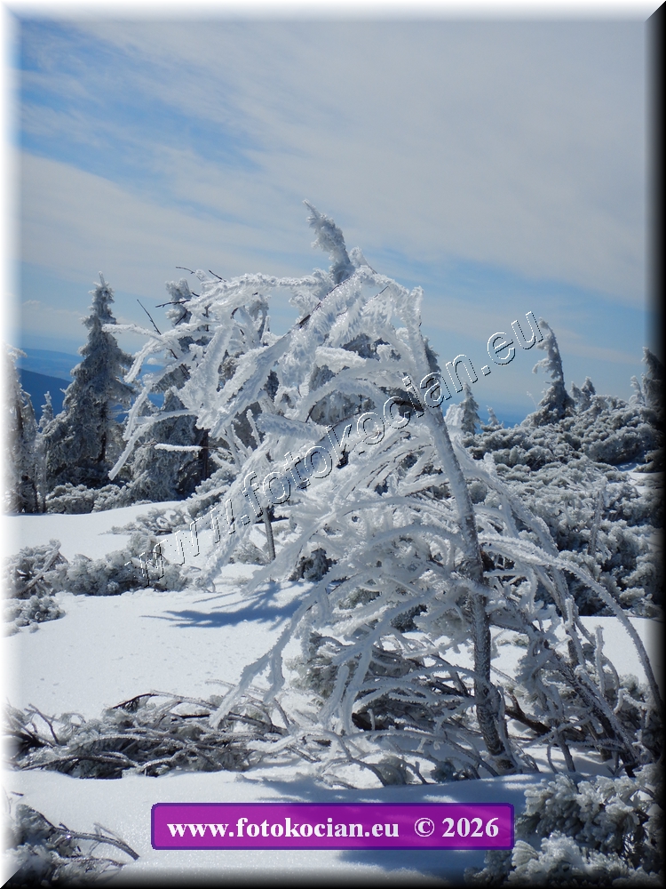 Náhled obrázku: DSCN2162.JPG