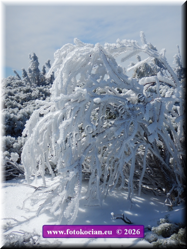 Náhled obrázku: DSCN2163.JPG