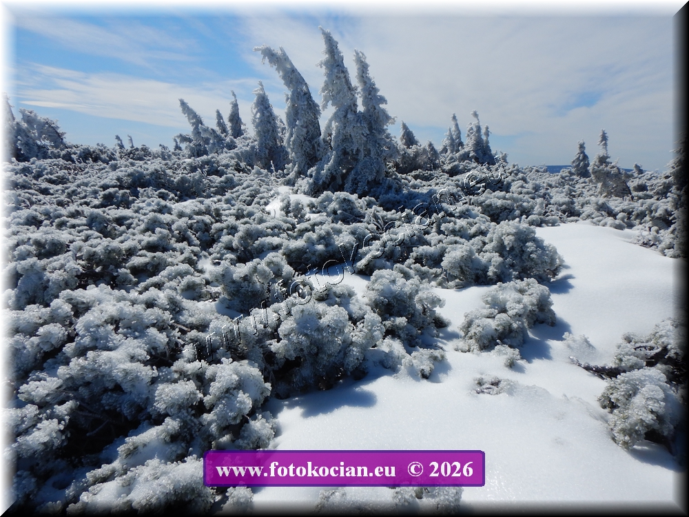 Náhled obrázku: DSCN2166.JPG