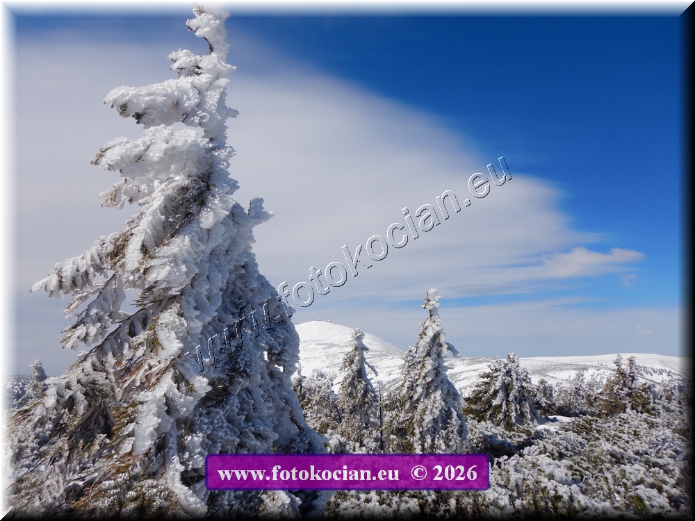 Náhled obrázku: DSCN2169.JPG