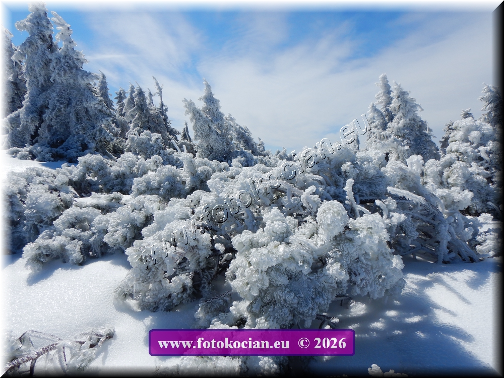 Náhled obrázku: DSCN2172.JPG