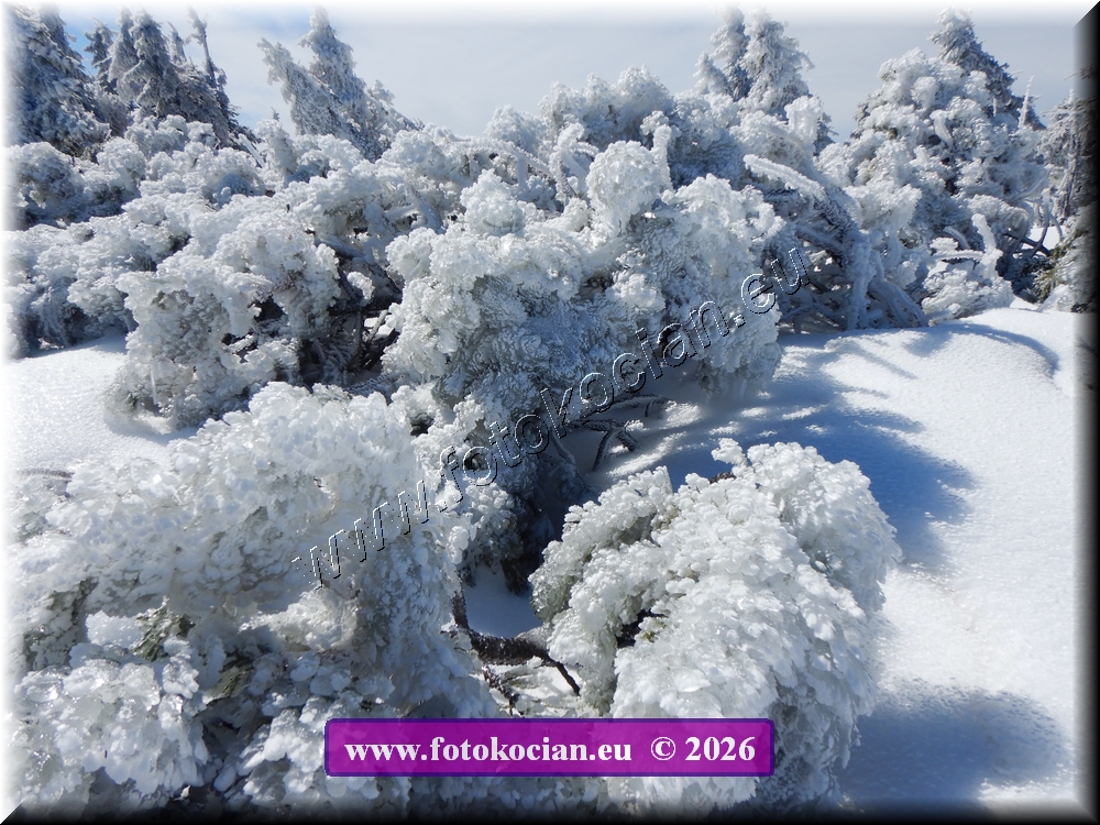 Náhled obrázku: DSCN2173.JPG