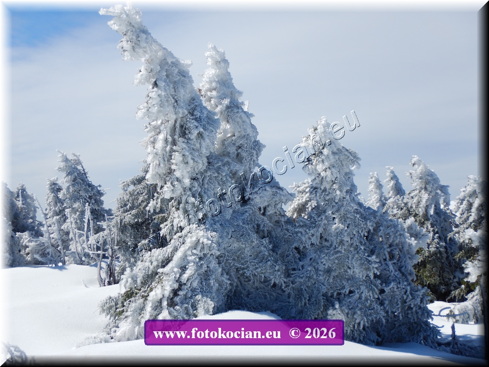 Náhled obrázku: DSCN2174.JPG