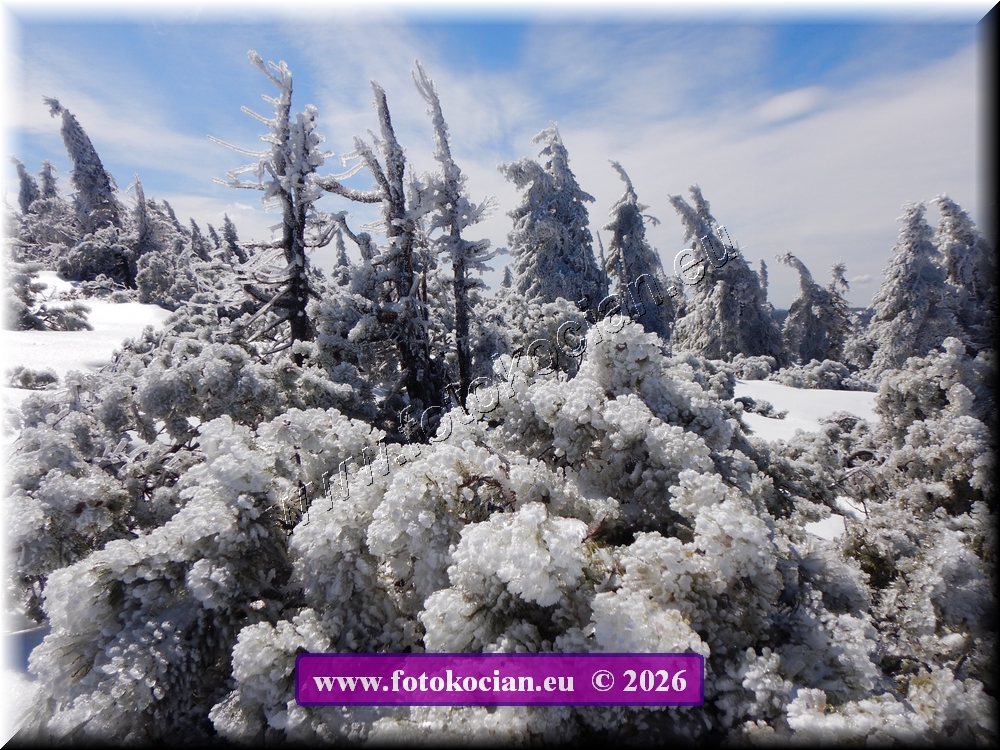 Náhled obrázku: DSCN2182.JPG