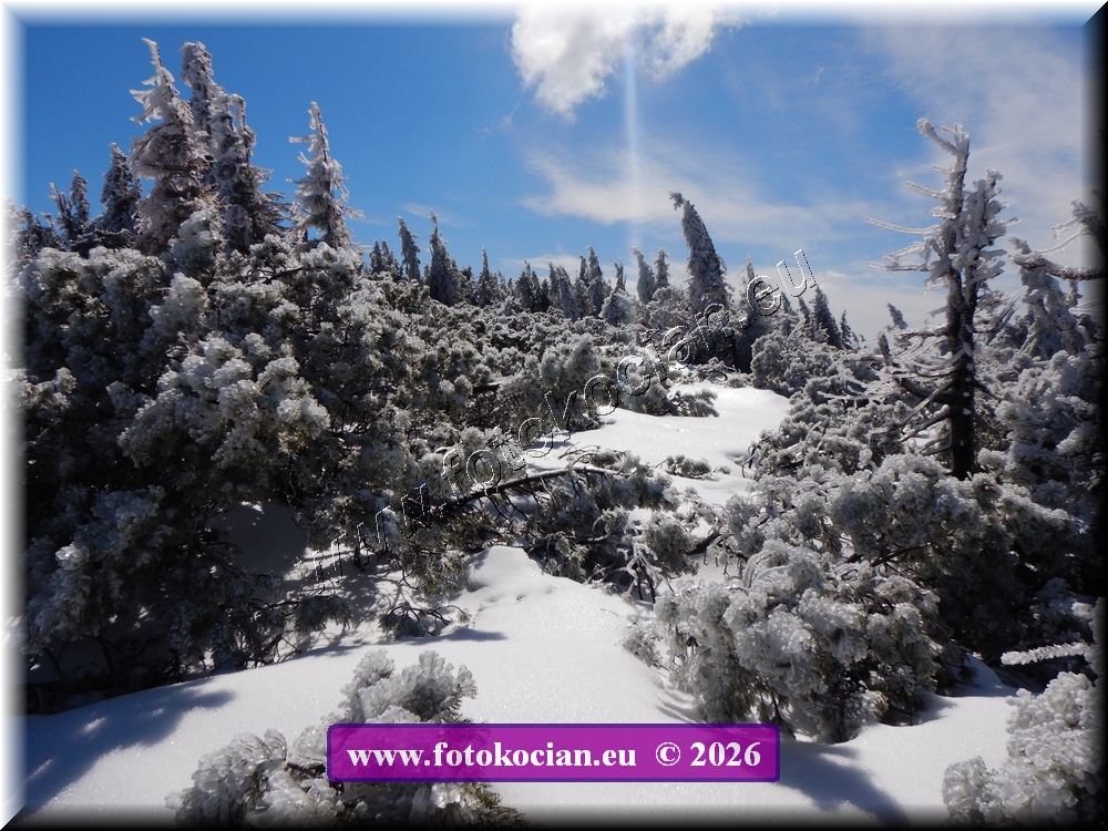 Náhled obrázku: DSCN2183.JPG