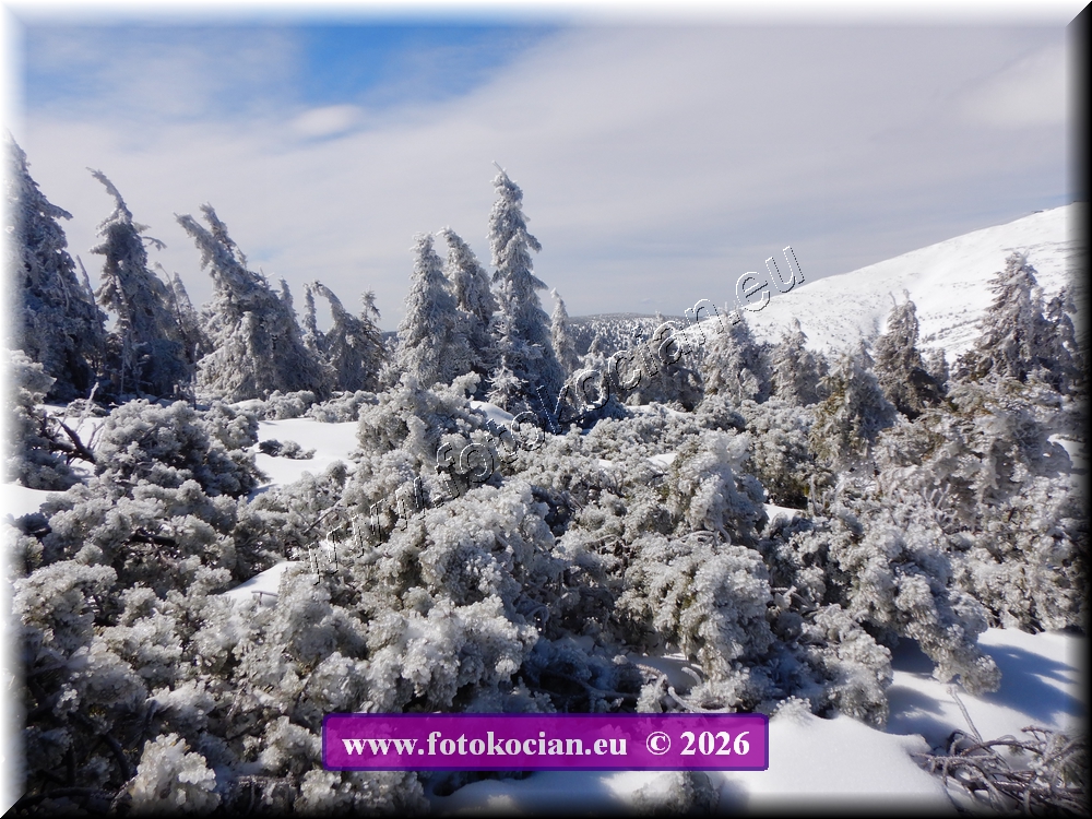 Náhled obrázku: DSCN2184.JPG