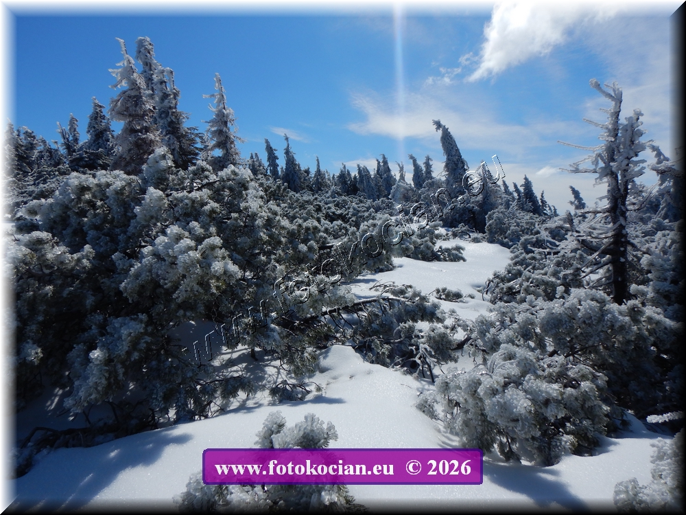 Náhled obrázku: DSCN2186.JPG