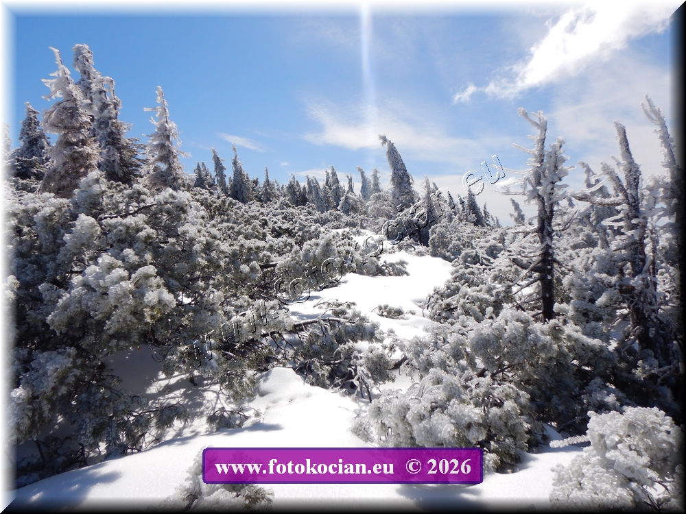 Náhled obrázku: DSCN2188.JPG