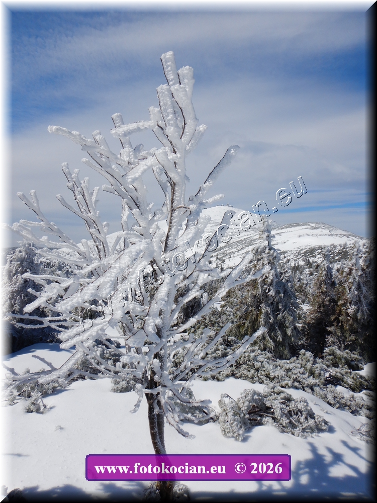 Náhled obrázku: DSCN2189.JPG