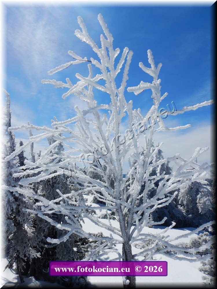 Náhled obrázku: DSCN2190.JPG