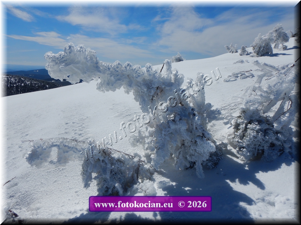 Náhled obrázku: DSCN2192.JPG