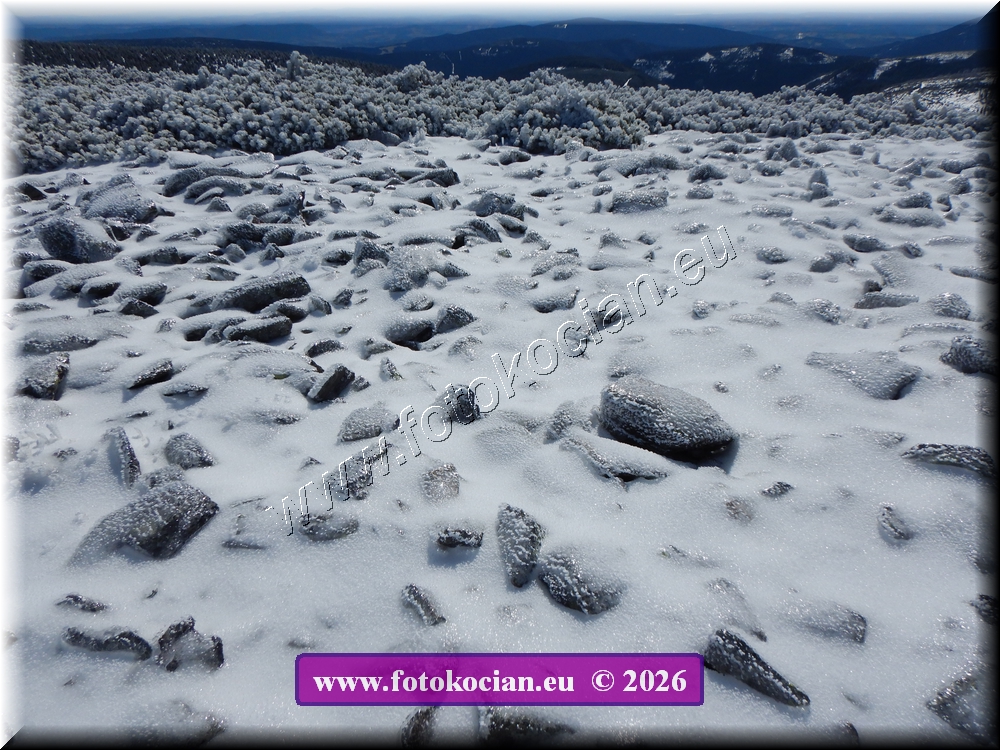 Náhled obrázku: DSCN2193.JPG