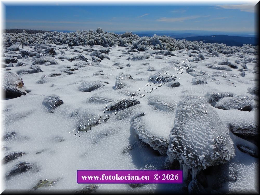 Náhled obrázku: DSCN2194.JPG