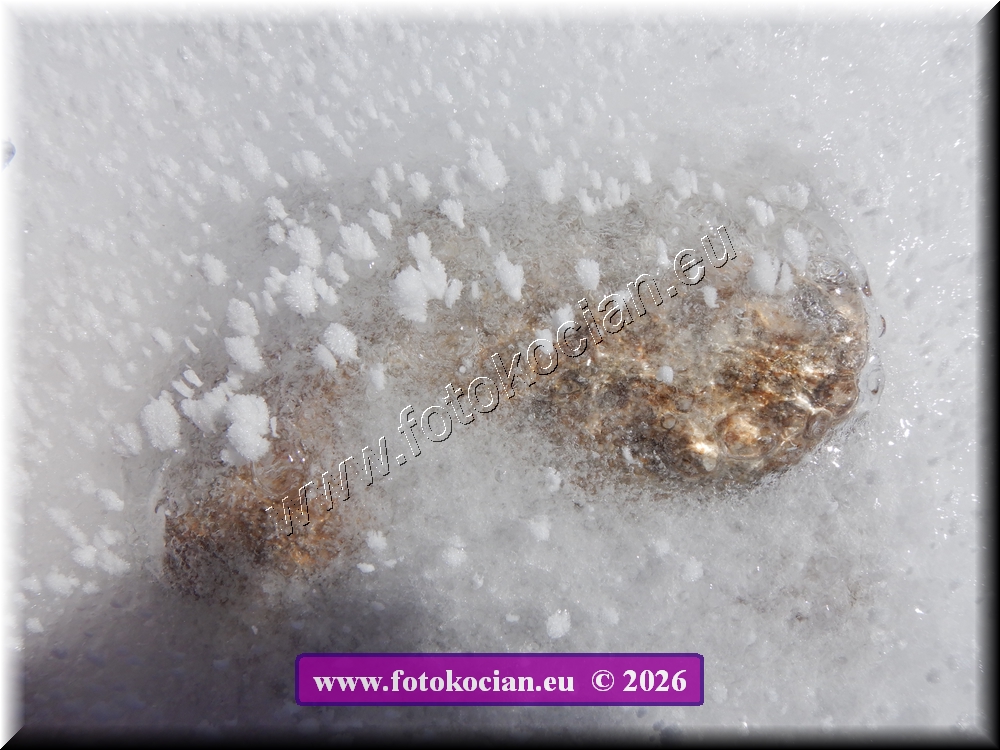 Náhled obrázku: DSCN2195.JPG