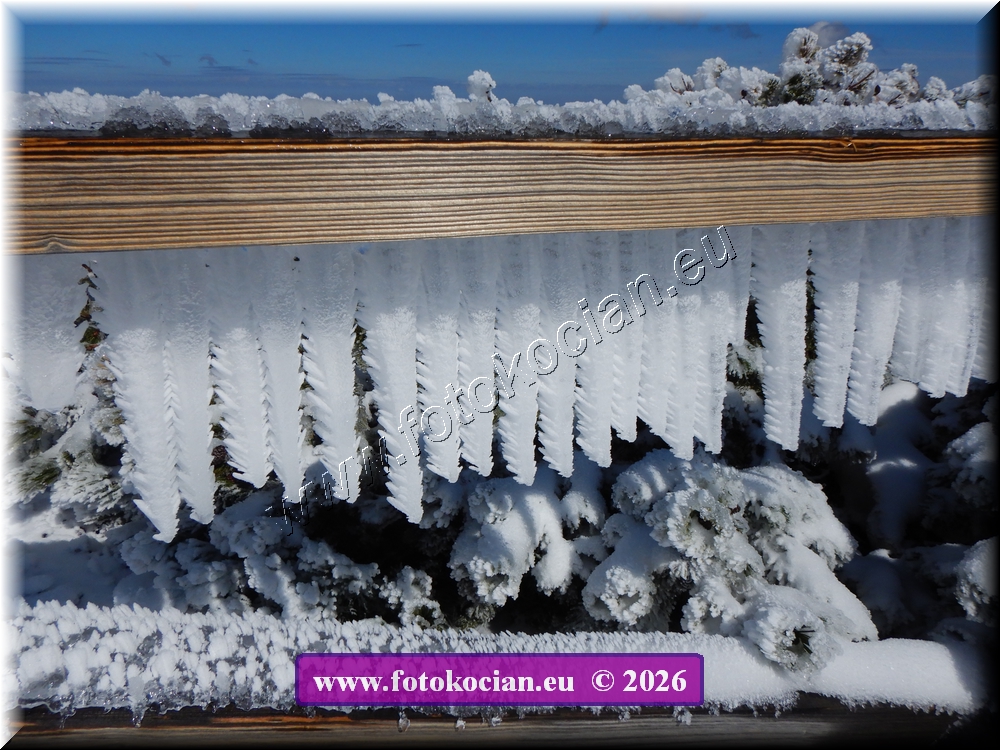 Náhled obrázku: DSCN2198.JPG