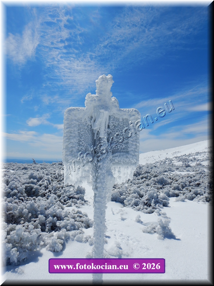 Náhled obrázku: DSCN2199.JPG