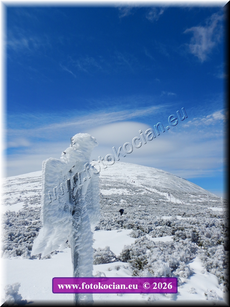 Náhled obrázku: DSCN2200.JPG