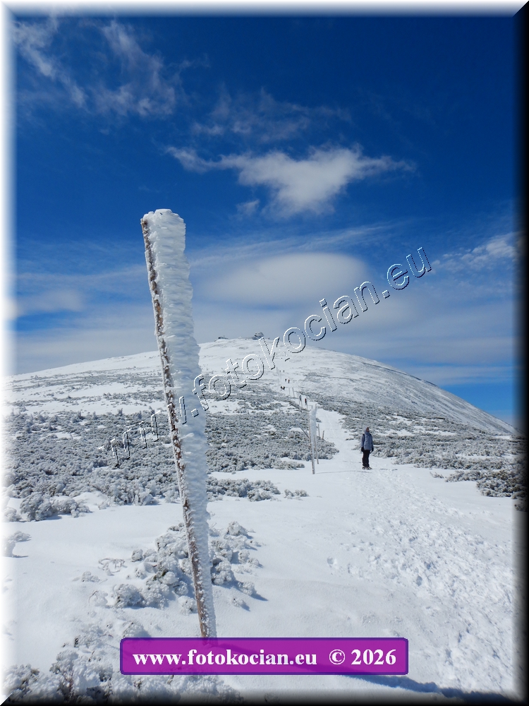 Náhled obrázku: DSCN2201.JPG