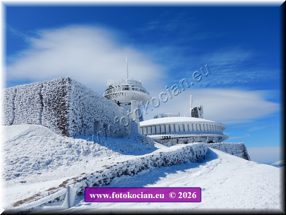 Náhled obrázku: DSCN2203.JPG