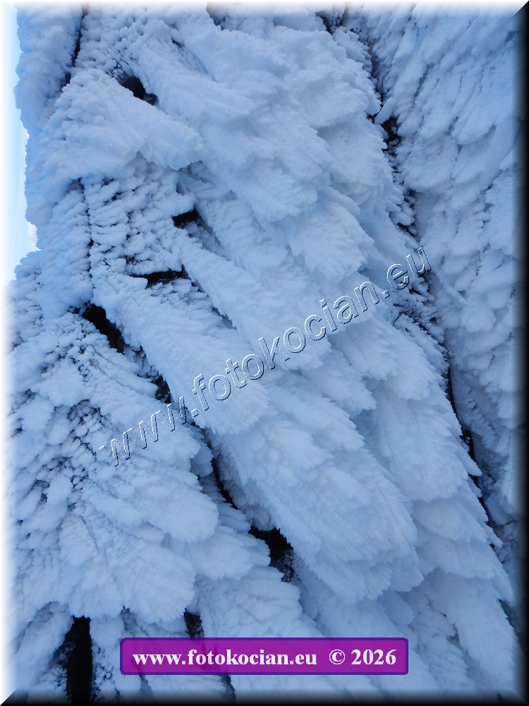 Náhled obrázku: DSCN2212.JPG