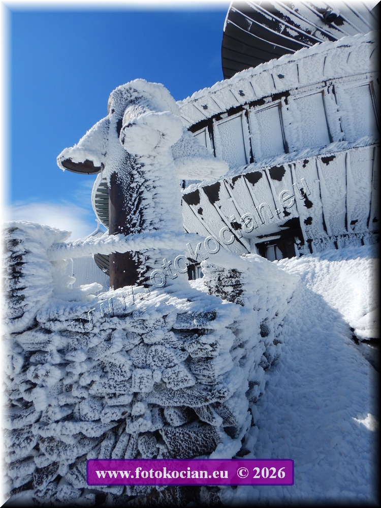 Náhled obrázku: DSCN2216.JPG