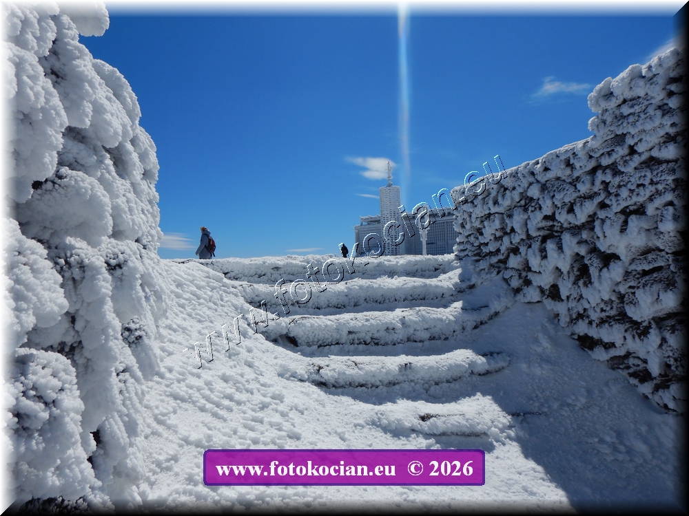 Náhled obrázku: DSCN2217.JPG