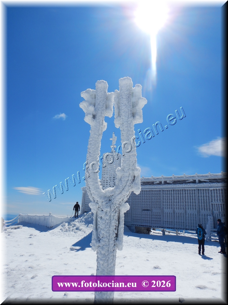 Náhled obrázku: DSCN2219.JPG