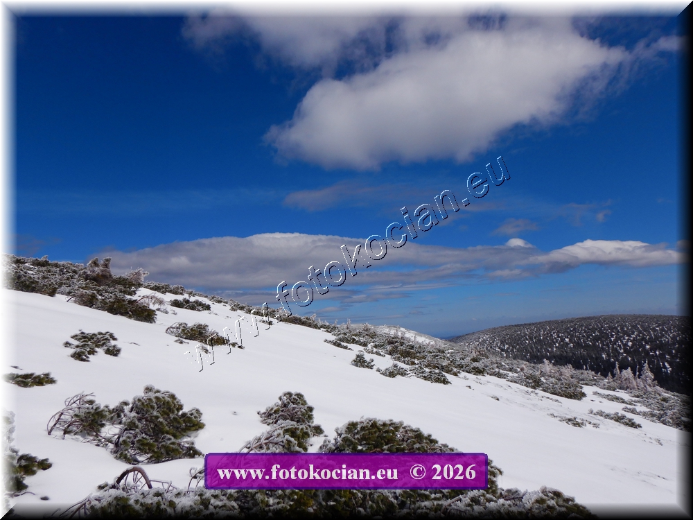 Náhled obrázku: DSCN2237.JPG