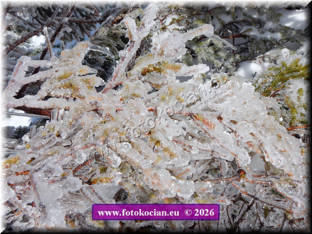 Náhled obrázku: DSCN2239.JPG