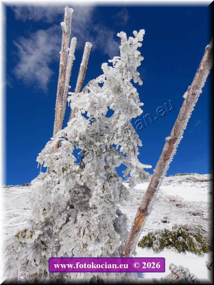 Náhled obrázku: DSCN2241.JPG