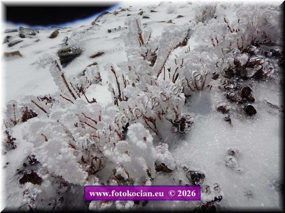 Náhled obrázku: DSCN2243.JPG