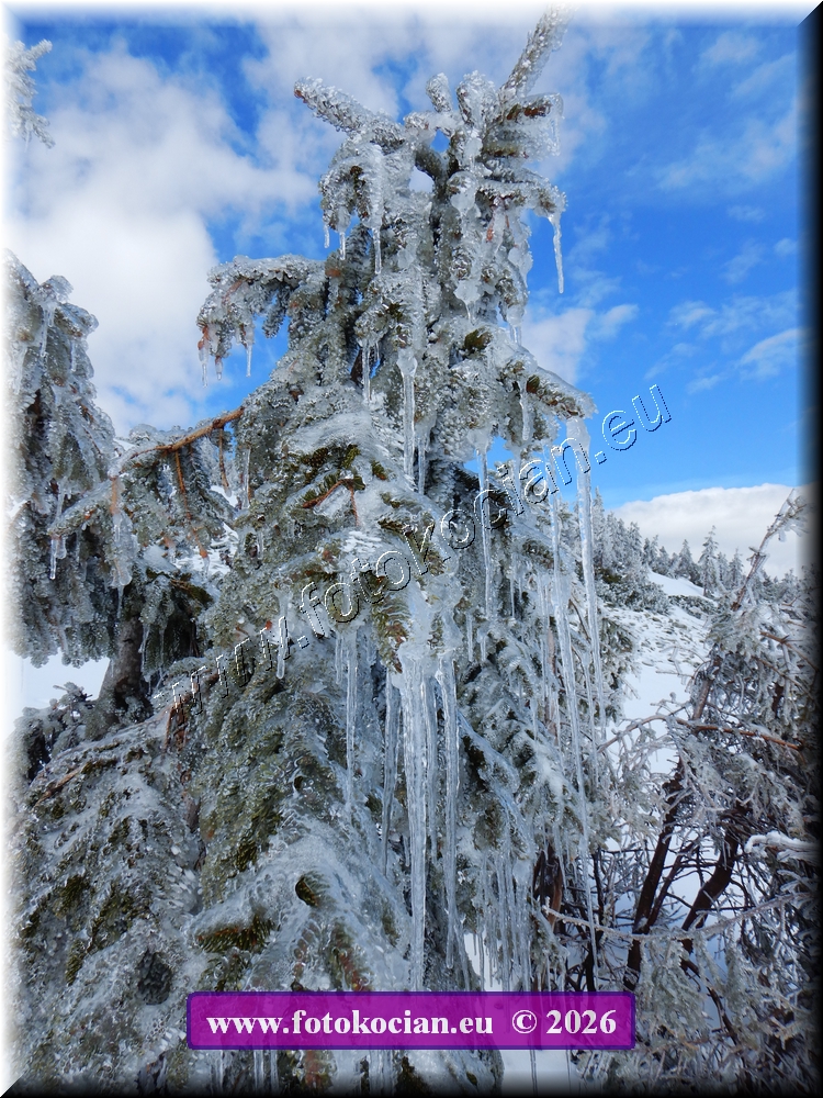 Náhled obrázku: DSCN2244.JPG