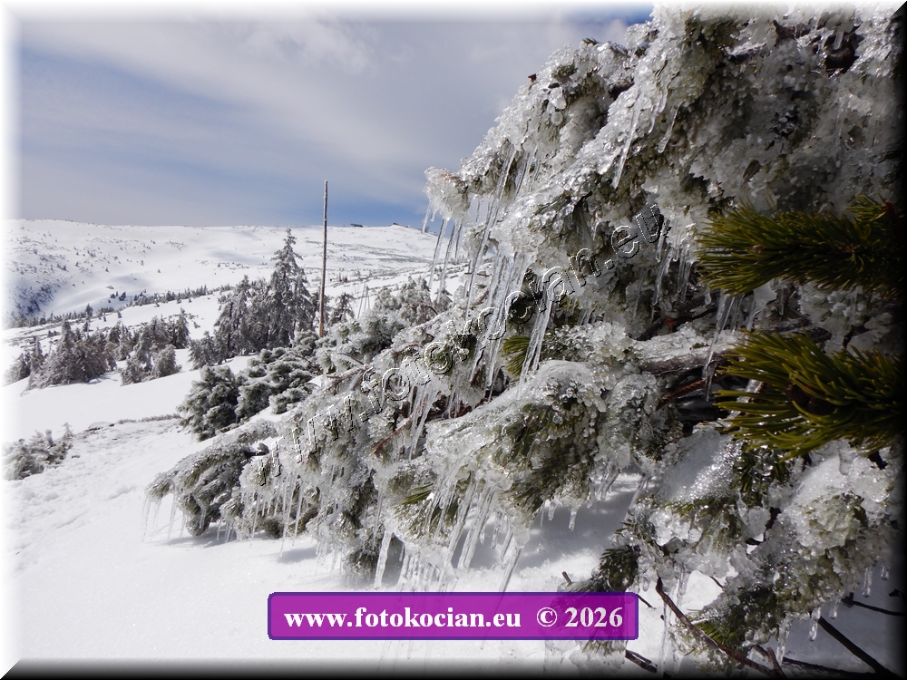 Náhled obrázku: DSCN2245.JPG