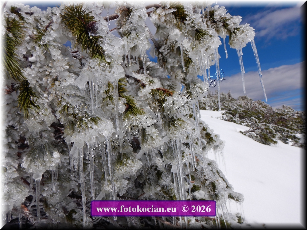 Náhled obrázku: DSCN2248.JPG