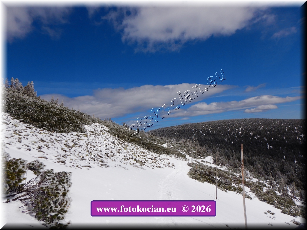 Náhled obrázku: DSCN2249.JPG