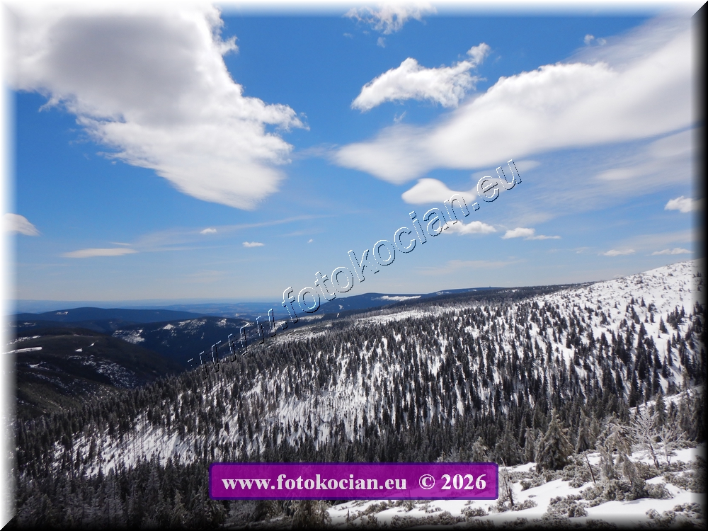 Náhled obrázku: DSCN2250.JPG