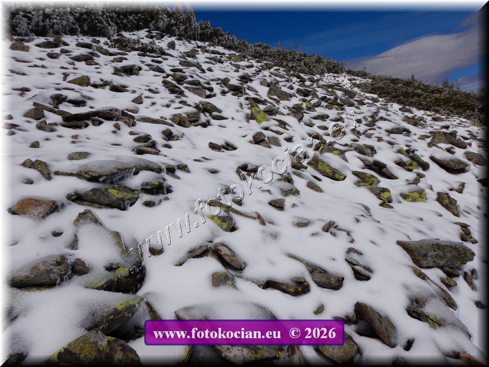 Náhled obrázku: DSCN2254.JPG