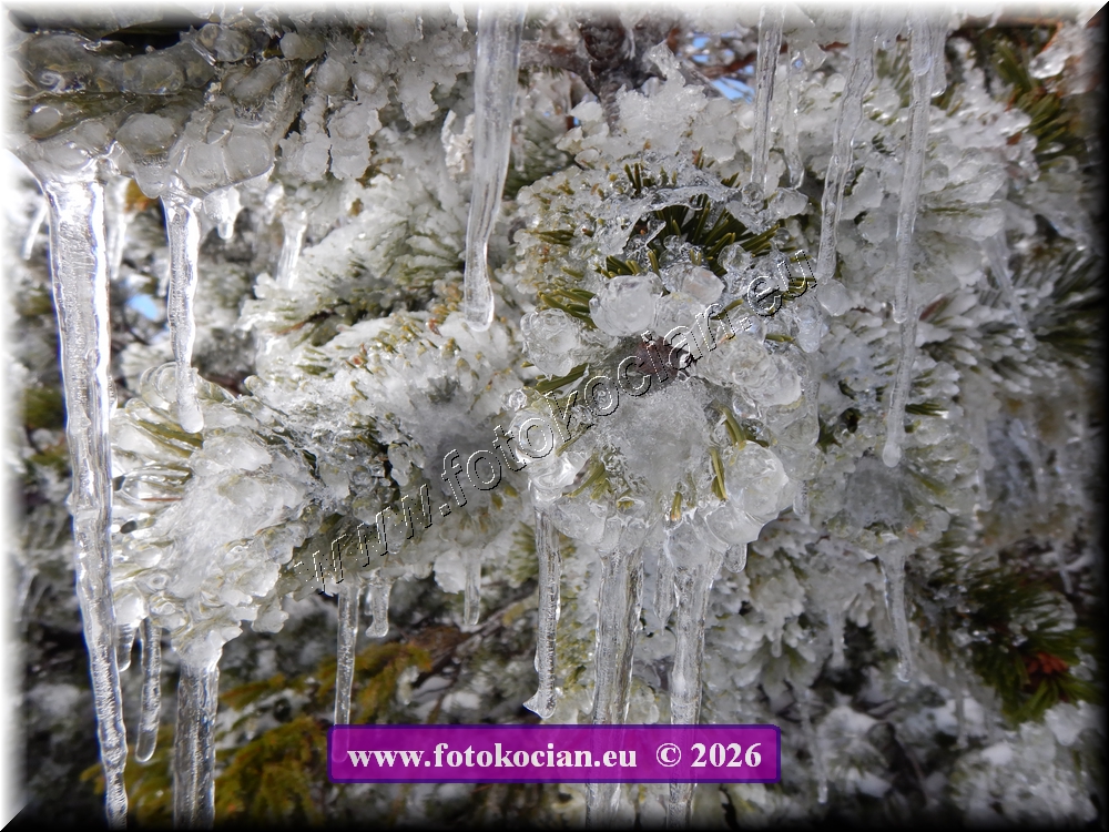 Náhled obrázku: DSCN2255.JPG